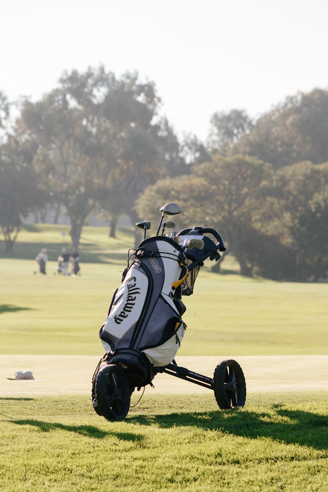Luxury Golf Bags