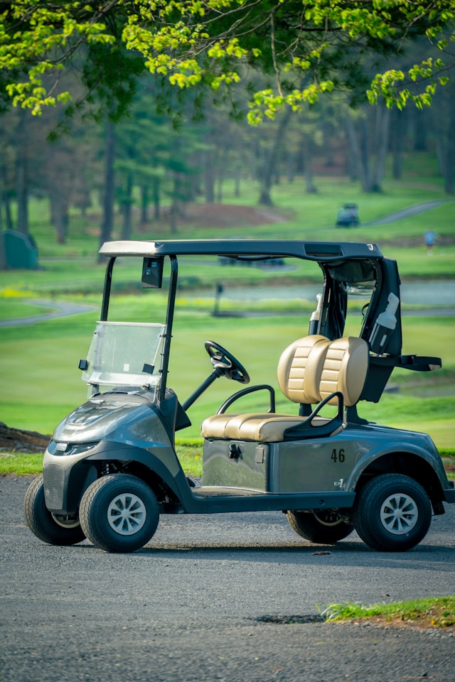 Luxury Golf Carts